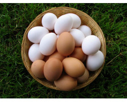 Яйцо куриное С-1 цветное "Вясковое"